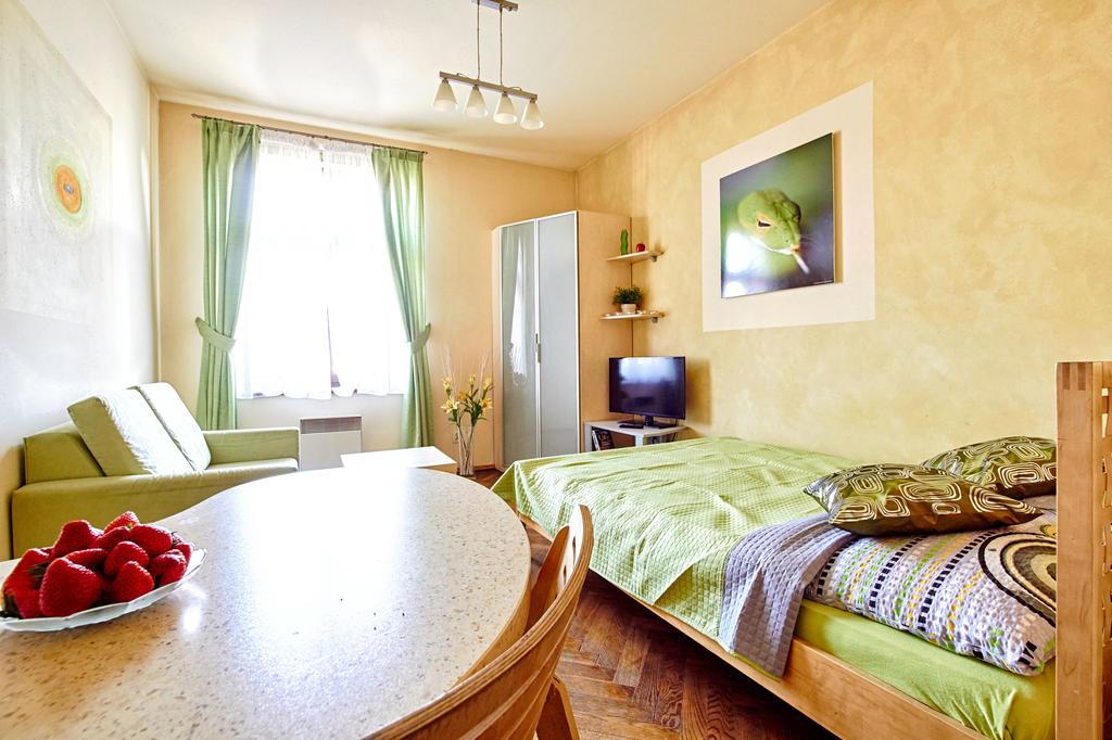 Studio Apartment Librowszczyzna 4